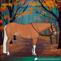 Horse Color:Silver Bay Tobiano