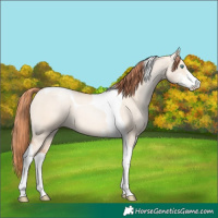 Horse Color:Classic Champagne Pearl Dun Sabino Tobiano 