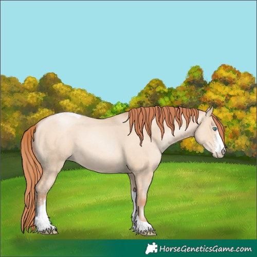 Horse Color:Sable Champagne Pearl Dun Sabino Tobiano 
