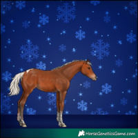 Horse Color:Silver Bay Tobiano