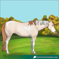 Horse Color:Sable Champagne Pearl Dun Sabino Tobiano