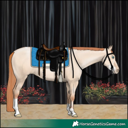 Horse Color:Sable Champagne Pearl Dun Sabino Tobiano