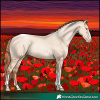 Horse Color:Classic Champagne Pearl Dun Sabino Tobiano 