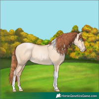 Horse Color:Sable Champagne Pearl Dun Sabino Tobiano 