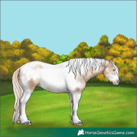 Horse Color:Chocolate Palomino Pearl Tobiano Frame and Chocolate Palomino Pearl Tobiano Frame