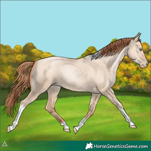 Horse Color:Sable Champagne Pearl Dun Sabino Tobiano 
