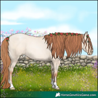 Horse Color:Classic Champagne Pearl Dun Sabino Tobiano