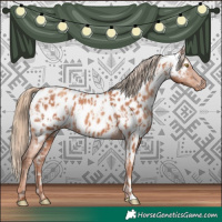 Horse Color:Gold Champagne Appaloosa  and Gold Champagne Appaloosa 