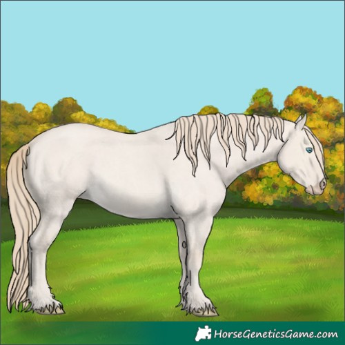 Horse Color:Smoky Creme Roan Dun 