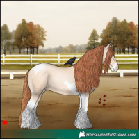 Horse Color:Sable Champagne Pearl Dun Sabino Tobiano 