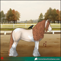 Horse Color:Sable Champagne Pearl Dun Sabino Tobiano 
