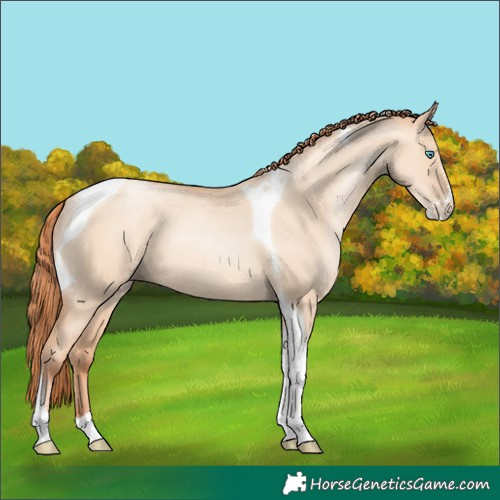 Horse Color:Sable Champagne Pearl Dun Sabino Tobiano 