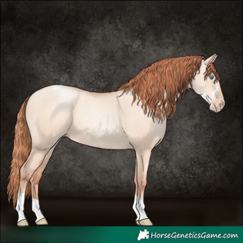 Horse Color:Sable Champagne Pearl Dun Sabino Tobiano