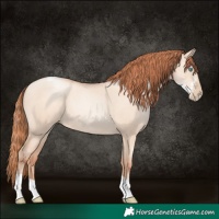 Horse Color:Sable Champagne Pearl Dun Sabino Tobiano