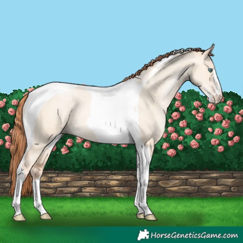 Horse Color:Classic Champagne Pearl Dun Sabino Tobiano