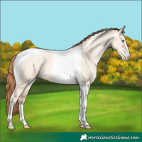 Horse Color:Classic Champagne Pearl Dun Sabino Tobiano 