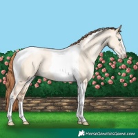 Horse Color:Classic Champagne Pearl Dun Sabino Tobiano 