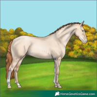 Horse Color:Sable Champagne Pearl Dun Sabino Tobiano 