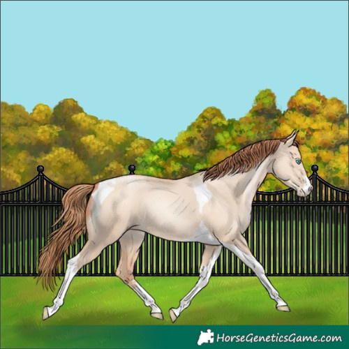Horse Color:Sable Champagne Pearl Dun Sabino Tobiano