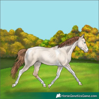 Horse Color:Sable Champagne Pearl Dun Sabino Tobiano 