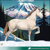 Horse Color:Sable Champagne Pearl Dun Sabino Tobiano 