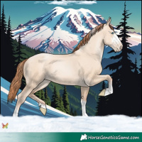 Horse Color:Sable Champagne Pearl Dun Sabino Tobiano 