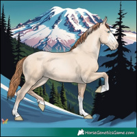Horse Color:Sable Champagne Pearl Dun Sabino Tobiano