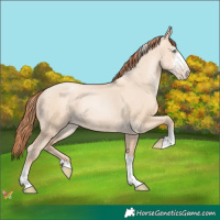 Horse Color:Sable Champagne Pearl Dun Sabino Tobiano 