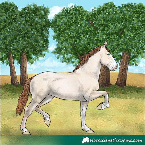 Horse Color:Sable Champagne Pearl Dun Sabino Tobiano