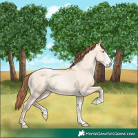 Horse Color:Sable Champagne Pearl Dun Sabino Tobiano 