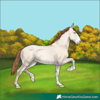 Horse Color:Sable Champagne Pearl Dun Sabino Tobiano 