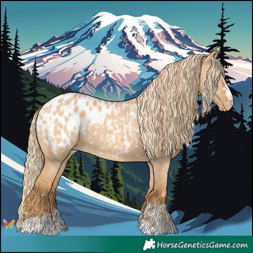 Horse Color:Red Dun Blanket and Red Dun Blanket