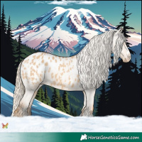 Horse Color:Red Dun Blanket  and Red Dun Blanket 