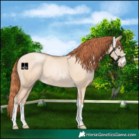 Horse Color:Sable Champagne Pearl Dun Sabino Tobiano 