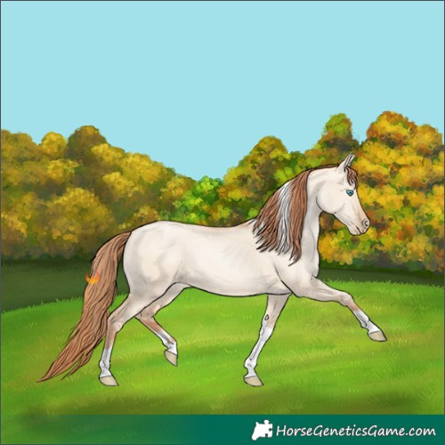 Horse Color:Sable Champagne Pearl Dun Sabino Tobiano 