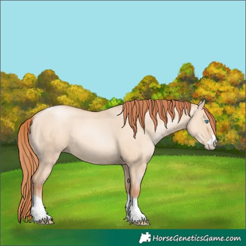Horse Color:Sable Champagne Pearl Dun Sabino Tobiano 