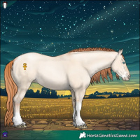 Horse Color:Sable Champagne Pearl Dun Sabino Tobiano