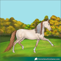 Horse Color:Classic Champagne Pearl Dun Sabino Tobiano 