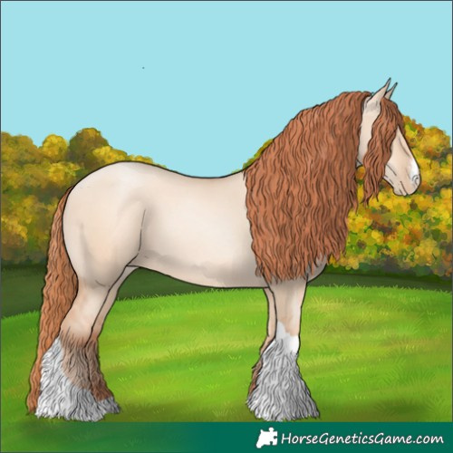 Horse Color:Classic Champagne Pearl Dun Sabino Tobiano 