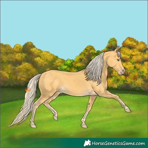 Horse Color:Gold Cream Champagne 