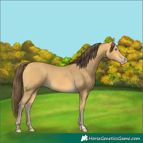 Horse Color:Amber Cream Champagne 