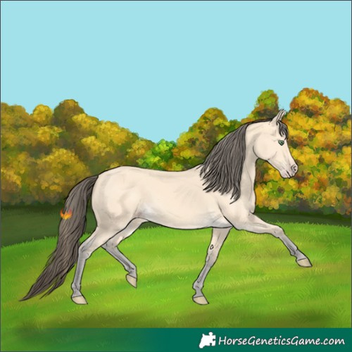 Horse Color:Amber Cream Champagne 
