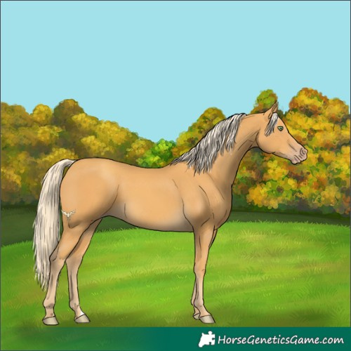 Horse Color:Gold Cream Champagne 