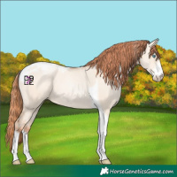 Horse Color:Sable Champagne Pearl Dun Sabino Tobiano 