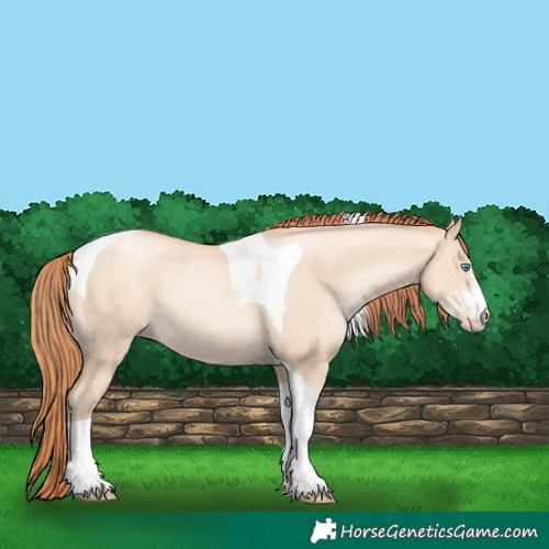Horse Color:Sable Champagne Pearl Dun Sabino Tobiano 