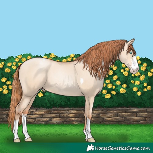 Horse Color:Classic Champagne Pearl Dun Sabino Tobiano 