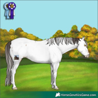 Horse Color:Sable Champagne Fewspot 