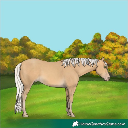 Horse Color:Silver Sable Cream Champagne