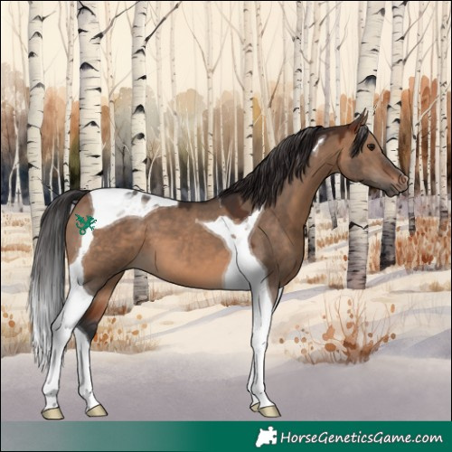 Horse Color:Brown Dun Tobiano 
