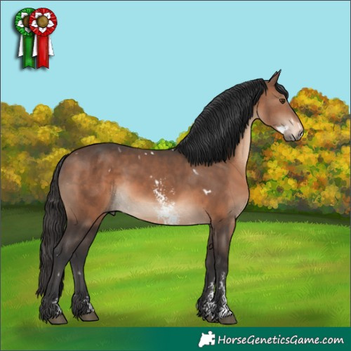 Horse Color:White Spotted Brown Mushroom Sabino 